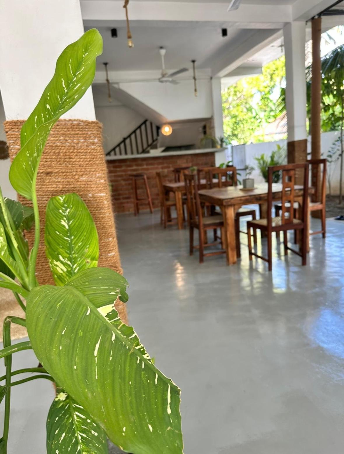Drifter - Rooms & Food Midigama Exterior photo